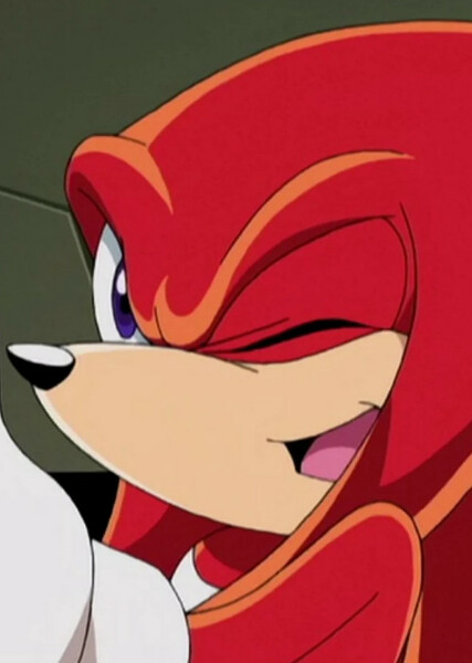 Knuckles the Echidna (Sonic X) photo
