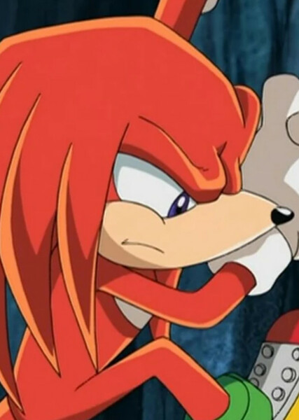 Knuckles the Echidna (Sonic X) photo