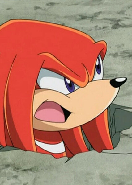 Knuckles the Echidna (Sonic X) photo