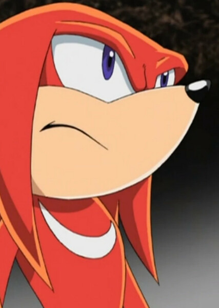 Knuckles the Echidna (Sonic X) photo