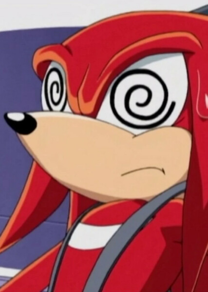 Knuckles the Echidna (Sonic X) photo