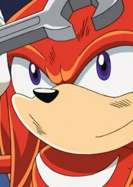 Knuckles the Echidna (Sonic X) photo