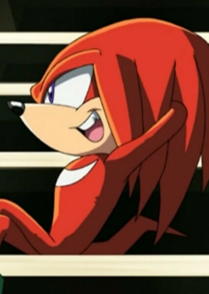 Knuckles the Echidna (Sonic X) photo