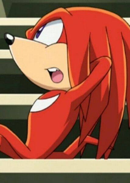 Knuckles the Echidna (Sonic X) photo