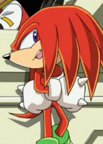 Knuckles the Echidna (Sonic X) photo