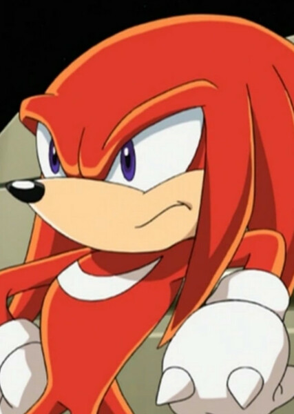Knuckles the Echidna (Sonic X) photo