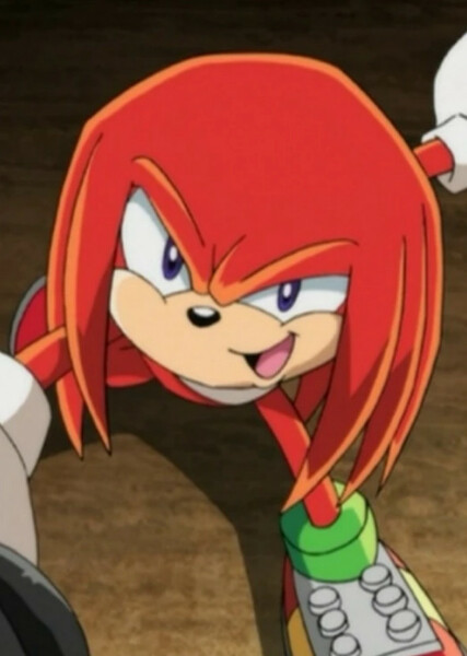 Knuckles the Echidna (Sonic X) photo