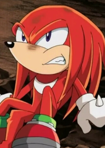 Knuckles the Echidna (Sonic X) photo