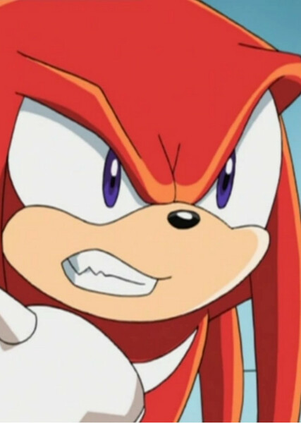 Knuckles the Echidna (Sonic X) photo