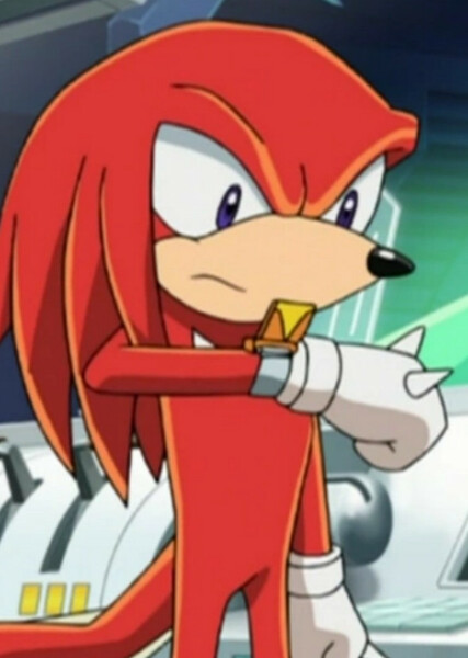 Knuckles the Echidna (Sonic X) photo