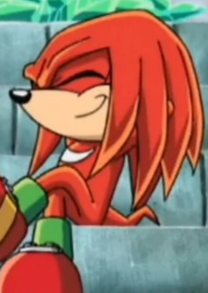 Knuckles the Echidna (Sonic X) photo