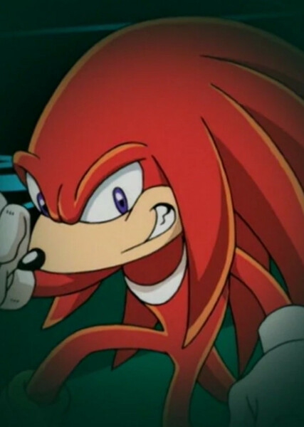 Knuckles the Echidna (Sonic X) photo