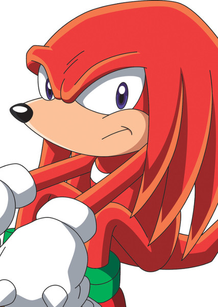 Knuckles the Echidna (Sonic X) photo