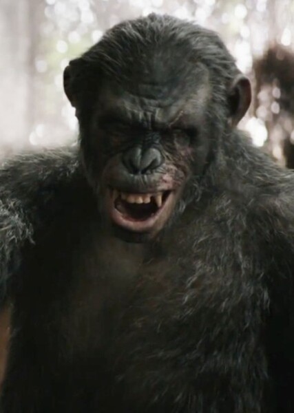 Koba