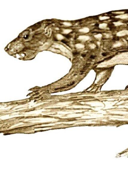 Kogaionon