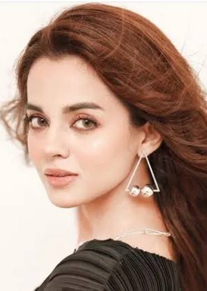 Komal Meer photo