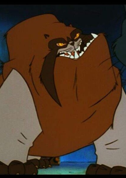 Kong (Felidae)