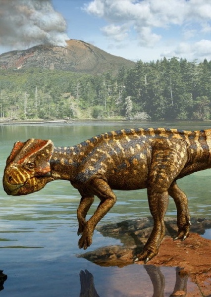 Koreaceratops