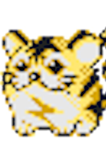 Kotora (Pokémon)