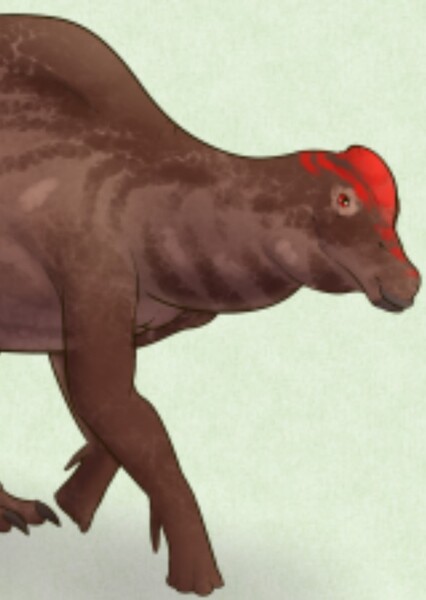 Koutalisaurus