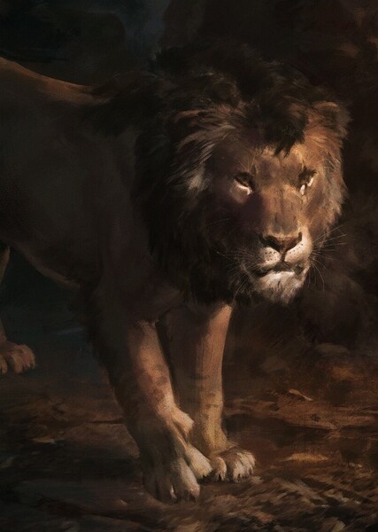 Kovu photo