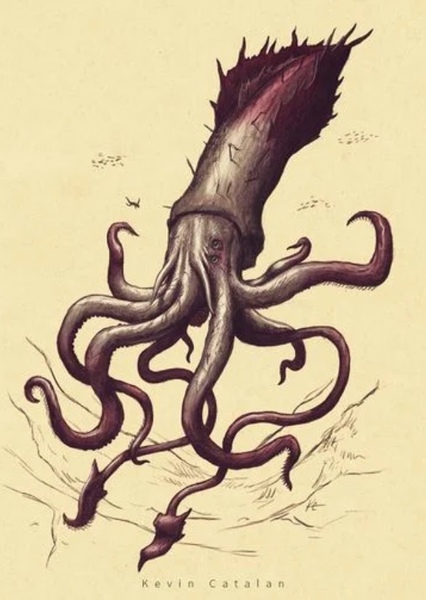 Kraken photo
