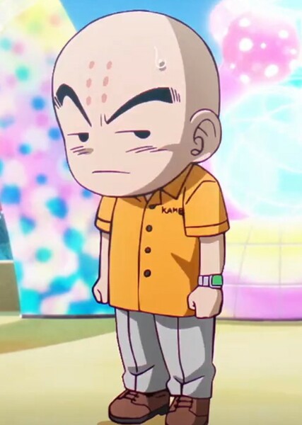 Krillin photo