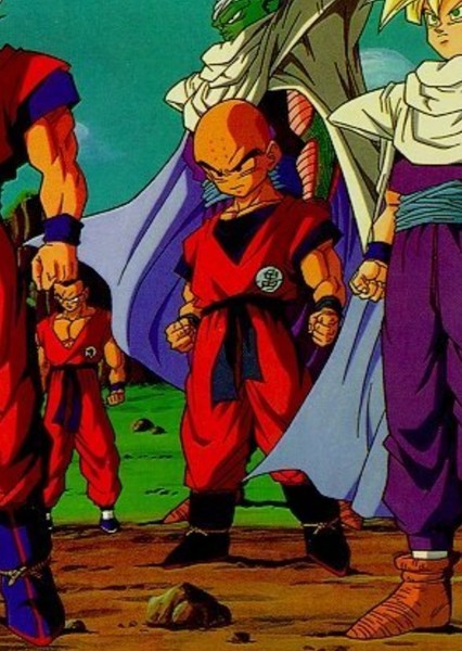 Krillin photo