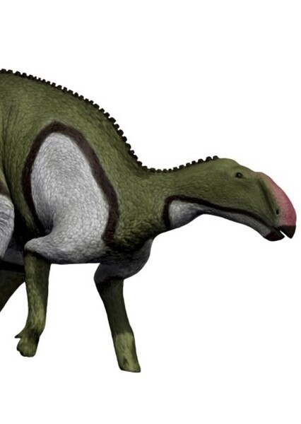 Kritosaurus photo