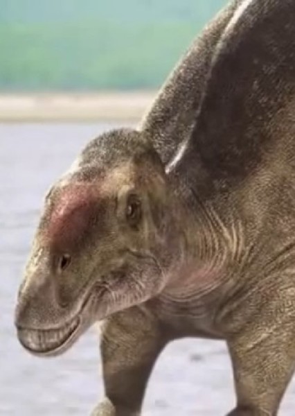 Kritosaurus photo