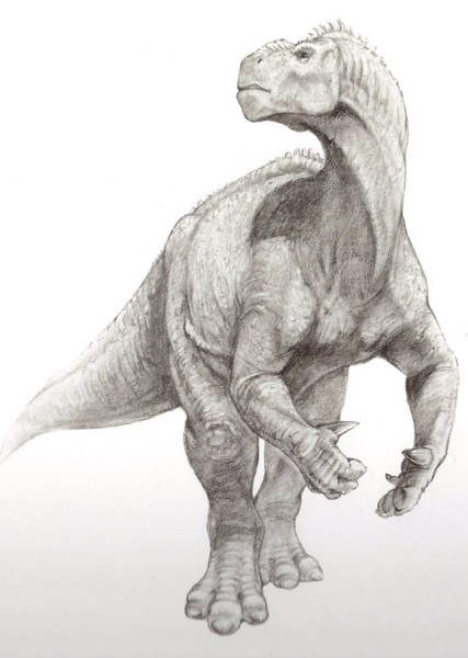 Kron (Dinosaur) photo