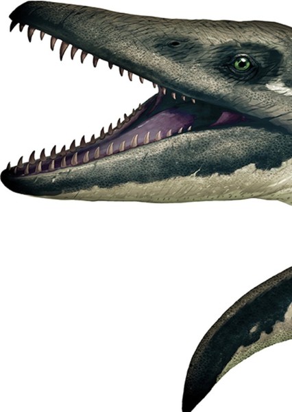 Kronosaurus photo