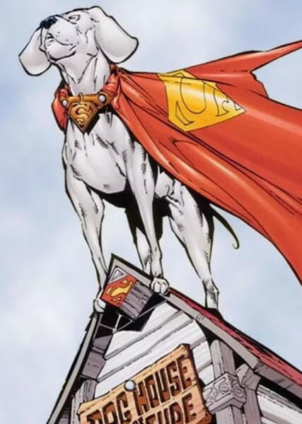 Krypto the Superdog photo