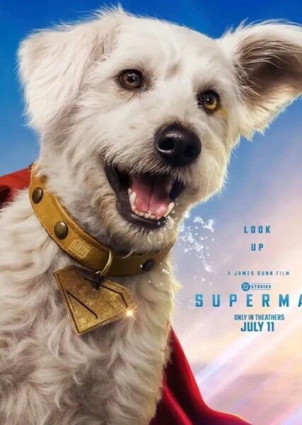Krypto (DC) photo