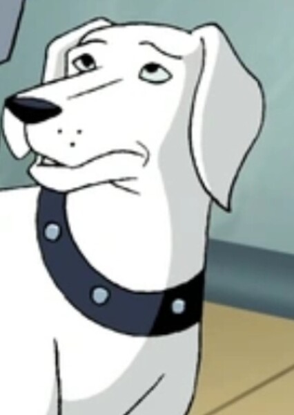 Krypto!!!