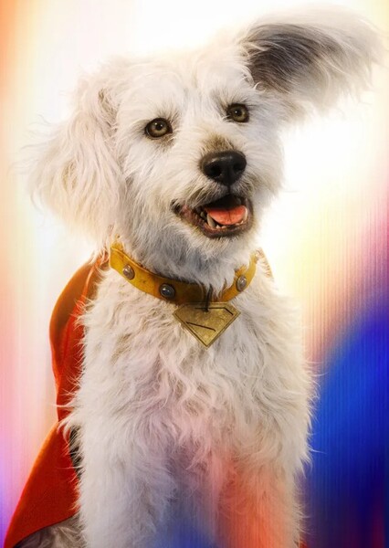 Krypto (DCU)