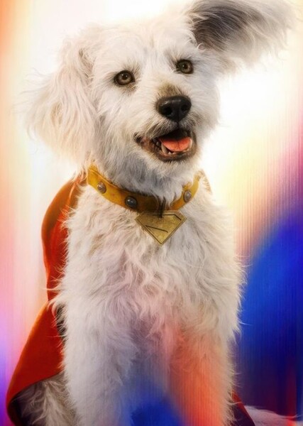 Krypto