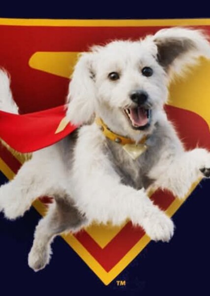Krypto the dog