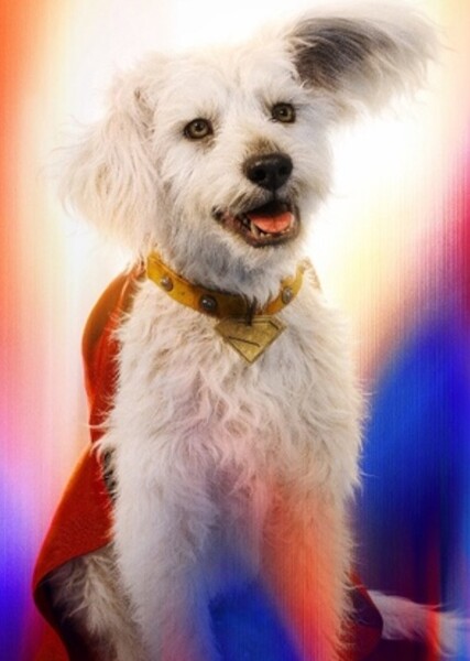 Krypto the Superdog photo