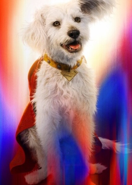 Krypto the Superdog photo