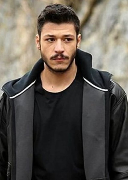 Kubilay Aka photo