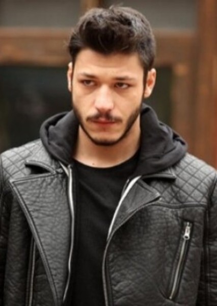Kubilay Aka photo
