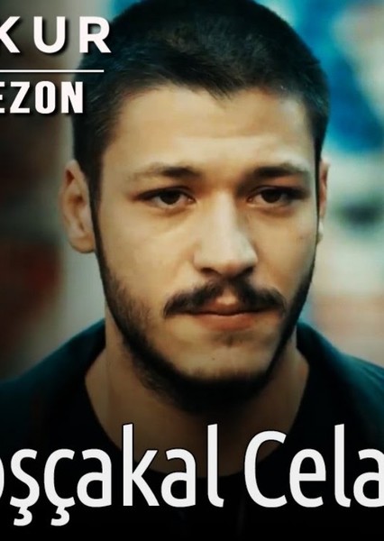 Kubilay Aka photo