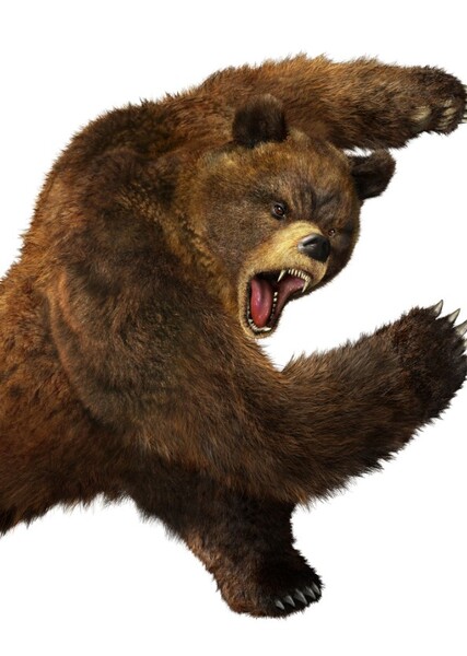 Kuma (Tekken) photo