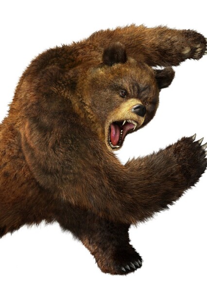 Kuma (Tekken) photo
