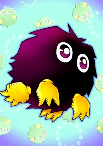 Kuriboh photo