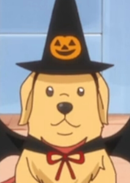 Kyuutaro (Precure) photo