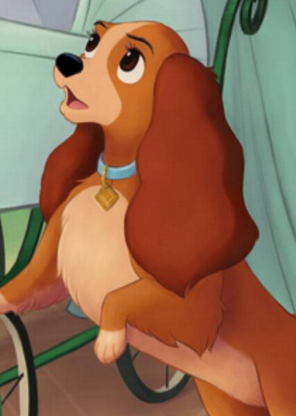 Lady (Disney Character) photo