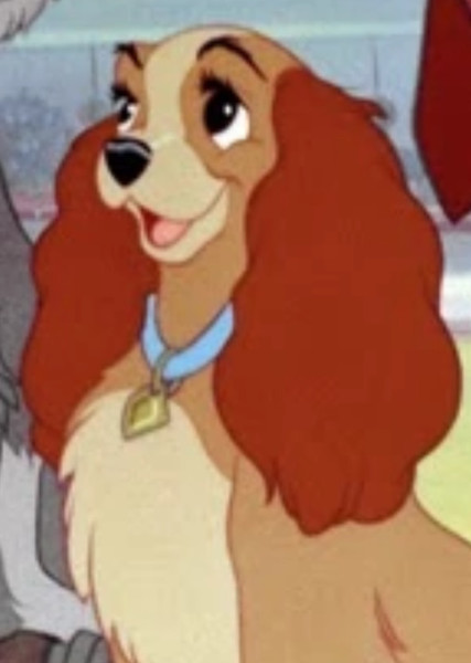 Lady (Disney Character) photo