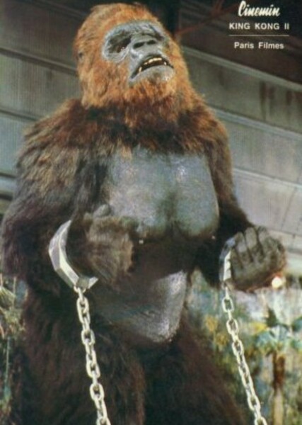 Lady Kong photo